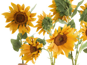 flower bouquet of sunflowers in a clay vase 132 Modelo 3D