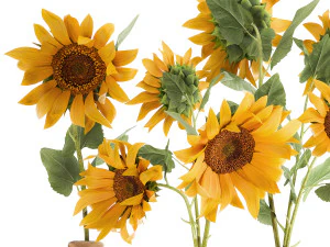 flower bouquet of sunflowers in a clay vase 132 3D Model