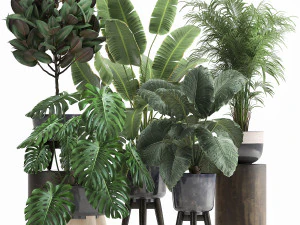 plantas de casa em vaso para o interior 1023 Modelo 3D