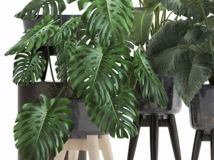 houseplants in a flowerpot for the interior 1023 Model 3D