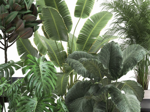 houseplants in a flowerpot for the interior 1023 Model 3D