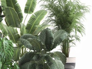 houseplants in a flowerpot for the interior 1023 Model 3D