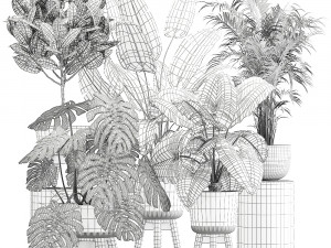 houseplants in a flowerpot for the interior 1023 Model 3D