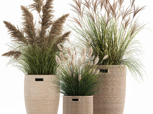 ornamental plants in rattan baskets 1024 3D Model