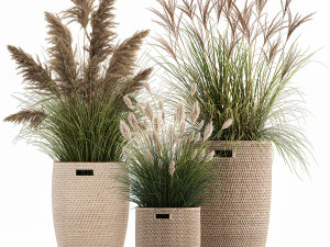plantas ornamentais em cestos de vime 1024 Modelo 3D