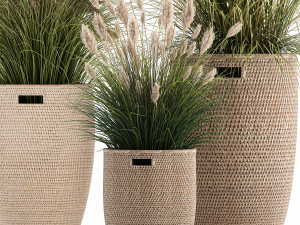 ornamental plants in rattan baskets 1024 Modèle 3D