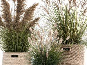 ornamental plants in rattan baskets 1024 Modèle 3D