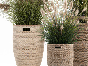ornamental plants in rattan baskets 1024 Modèle 3D