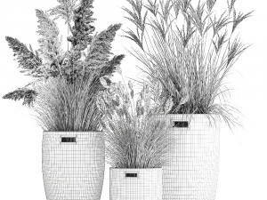 ornamental plants in rattan baskets 1024 Modèle 3D