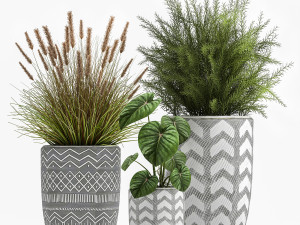 houseplants in a flowerpot for the interior 1025 3D Model