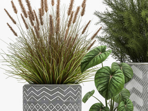 houseplants in a flowerpot for the interior 1025 3D Модель