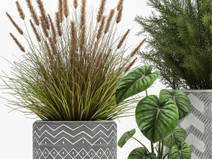 комнатные растения в вазоне для интерьера 1025 3D Модель