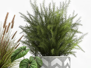 комнатные растения в вазоне для интерьера 1025 3D Модель