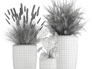 houseplants in a flowerpot for the interior 1025 3D Модель