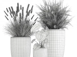 комнатные растения в вазоне для интерьера 1025 3D Модель