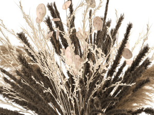bouquet of dried flowers in a glass vase 137 3D मॉडल