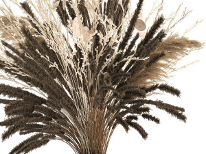 bouquet of dried flowers in a glass vase 137 3D मॉडल
