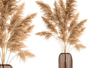 bouquet of dried reeds in a vase 140 3D Model