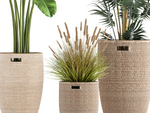 ornamental plants in rattan baskets 1026 3D Model