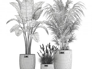 ornamental plants in rattan baskets 1026 3D Model