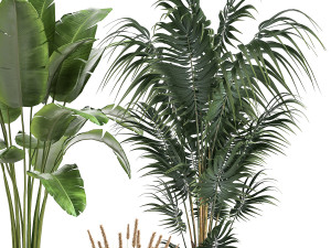 ornamental plants in rattan baskets 1026 3D Model