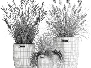 ornamental reeds plants in rattan baskets 1027 Modelo 3D