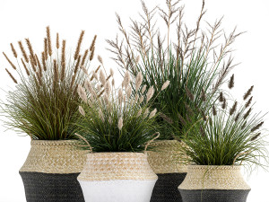 ornamental reeds plants in rattan baskets 1028 3D 모델