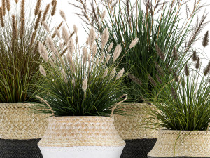 ornamental reeds plants in rattan baskets 1028 3D 모델