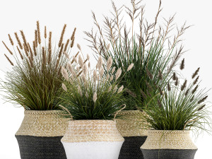 ornamental reeds plants in rattan baskets 1028 3D 모델