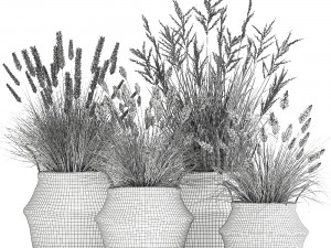ornamental reeds plants in rattan baskets 1028 3D 모델