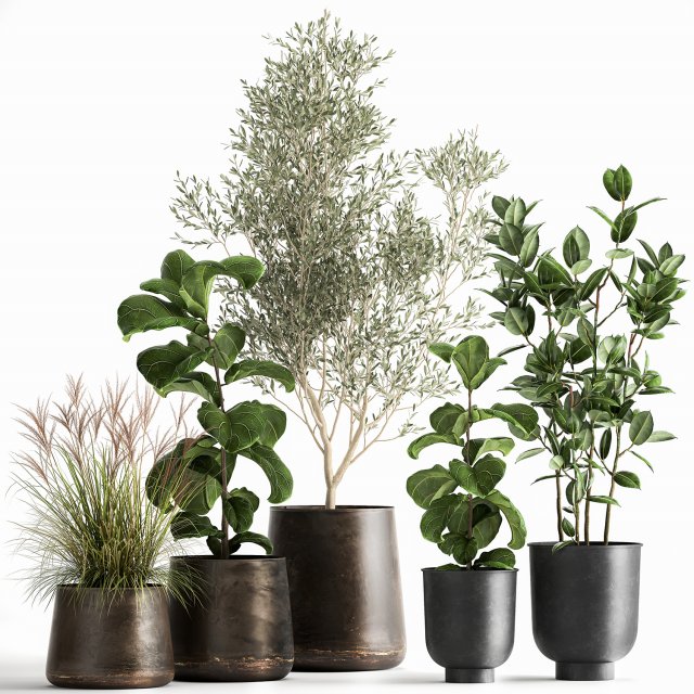 houseplants in a flowerpot for the interior 1029 Modèle 3D .c4d .max .obj .3ds .fbx .stl .blend 