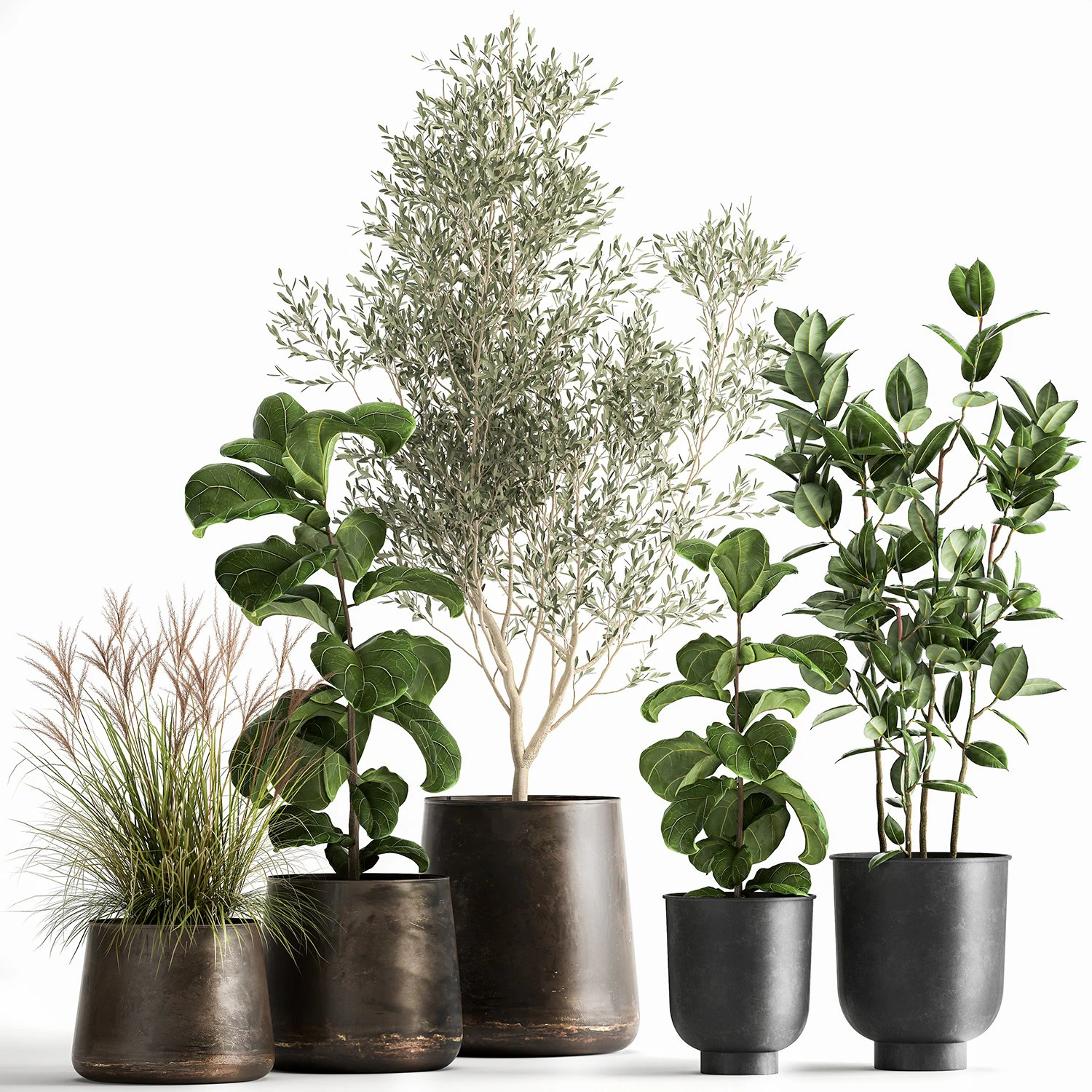 houseplants in a flowerpot for the interior 1029 3D Model .c4d .max .obj .3ds .fbx .stl .blend 