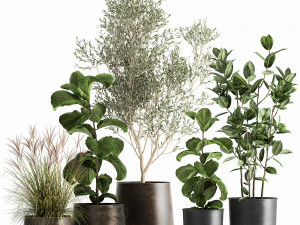 इंटीरियर के लिए फ्लावरपॉट में हाउसप्लांट 1029 3D मॉडल