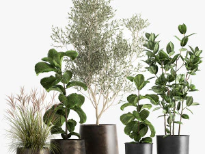 houseplants in a flowerpot for the interior 1029 3D Model