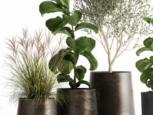 houseplants in a flowerpot for the interior 1029 Modèle 3D