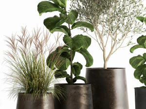 houseplants in a flowerpot for the interior 1029 3D Model
