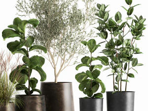 houseplants in a flowerpot for the interior 1029 3D Model