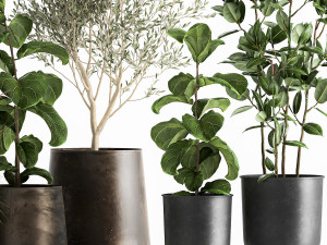 houseplants in a flowerpot for the interior 1029 Modèle 3D
