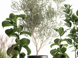 houseplants in a flowerpot for the interior 1029 Modèle 3D