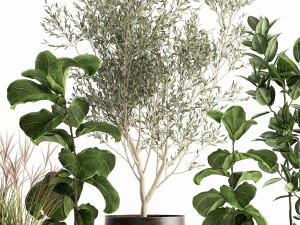 houseplants in a flowerpot for the interior 1029 3D Model