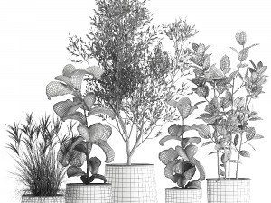 houseplants in a flowerpot for the interior 1029 Modèle 3D