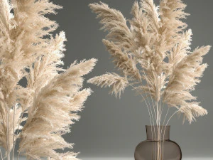 bouquet of dried white reeds in a vase 145 3D Model