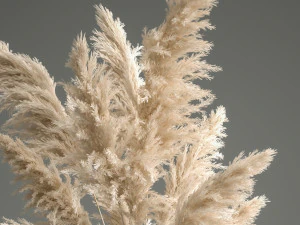 bouquet of dried white reeds in a vase 145 3D Model