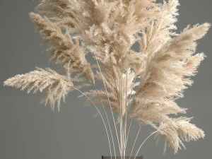 bouquet of dried white reeds in a vase 145 3D Model