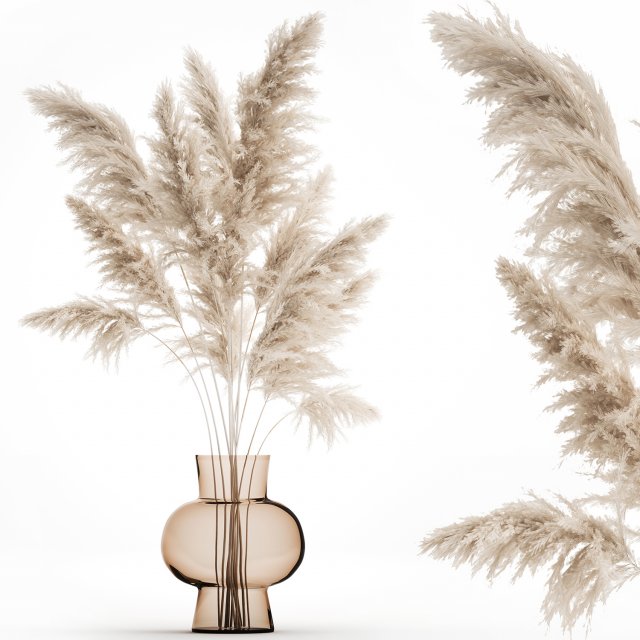 bouquet of dried white reeds in a vase 145 Modelo 3D .c4d .max .obj .3ds .fbx .stl .blend 