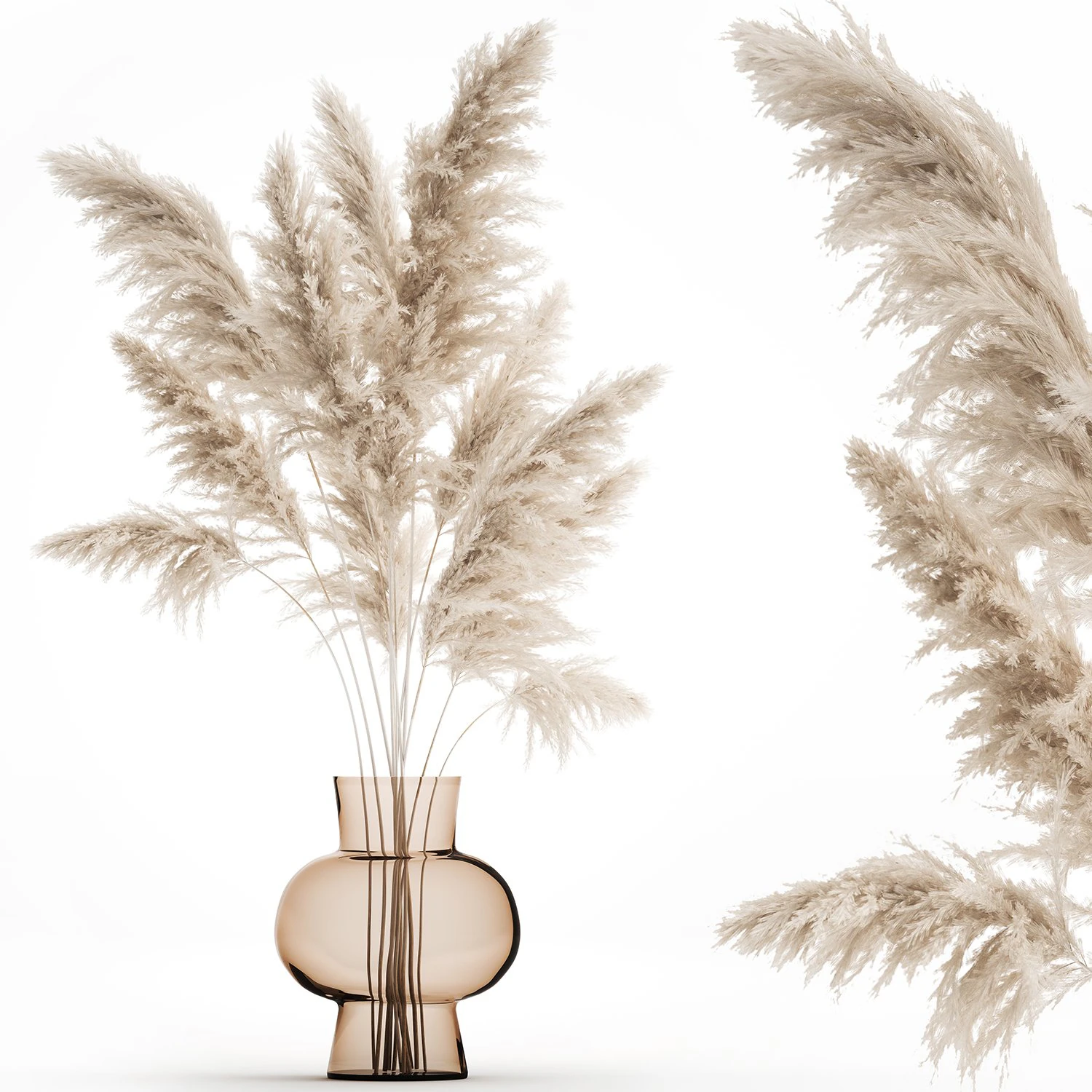 bouquet of dried white reeds in a vase 145 3D Model .c4d .max .obj .3ds .fbx .stl .blend