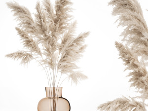 bouquet of dried white reeds in a vase 145 3D Model