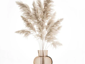 bouquet of dried white reeds in a vase 145 3D Model