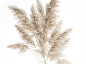 bouquet of dried white reeds in a vase 145 Modelo 3D