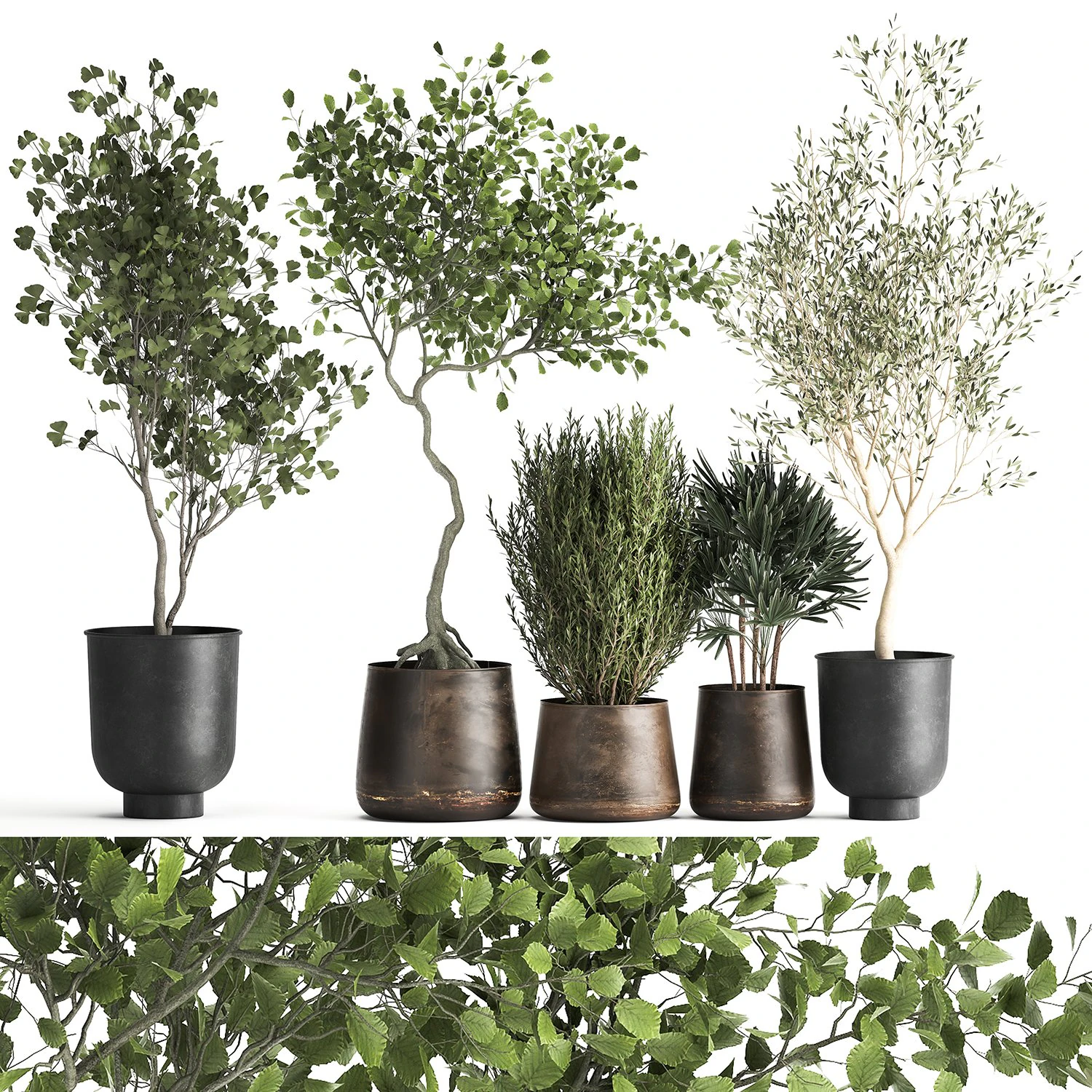 houseplants in a flowerpot for the interior 1030 3D Model .c4d .max .obj .3ds .fbx .stl .blend